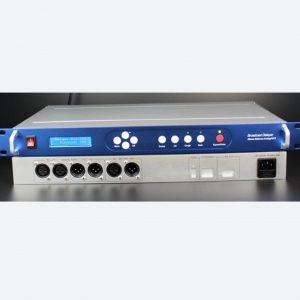 Radio Station Broadcast Stereo Audio Delayer