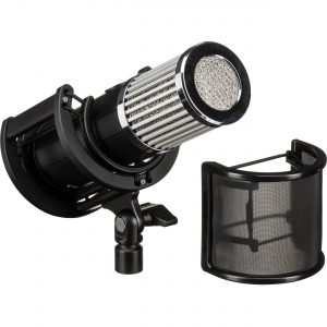 512 AUDIO Skylight Large-Diaphragm Cardioid Condenser Microphone