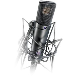 Neumann U 89 i Large-Diaphragm Multipattern Condenser Microphone (Nickel)